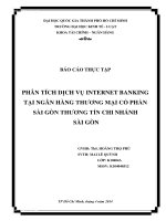 Phân tích dịch vụ Internet Banking tại ngân hàng thương mại cổ phần Sài Gòn thương tín chi nhánh Sài Gòn