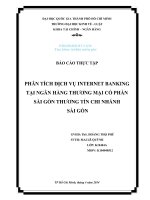 Phân tích dịch vụ Internet Banking tại ngân hàng thương mại cổ phần Sài Gòn thương tín chi nhánh Sài Gòn