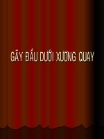 Gãy đầu dưới xương quay