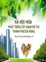 Xã Hội Hóa Phát Triển Cây Xanh Đô Thị Thành Phố Đà Nẵng