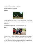 22 trò chơi dân gian gắn liền với tuổi thơ