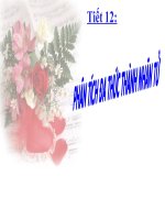 Bài Giảng Phân Tích Đa Thức Thành Nhân Tử