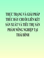 Thực Trạng Và Giải Pháp Thúc Đẩy Chuỗi Liên Kết Sản Xuất Và Tiêu Thụ Sản Phẩm Nông Nghiệp Tại Thái Bình