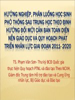 Hướng Nghiệp, Phân Luồng Học Sinh Phổ Thông Sau Trung Học Theo Định Hướng Đổi Mới Căn Bản Toàn Diện Nền Giáo Dục Và Quy Hoạch Phát Triển Nhân Lực