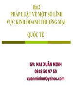 Bài Giảng Pháp Luật Về Một Số Lĩnh Vực Kinh Doanh Thương Mại Quốc Tế