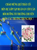 Chuyền Đề Những Vấn Đề Chung Về Quản Lý Tổ Chuyên Môn Trong Trường Trung Học