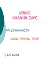 HÓA SINH ĐẠI CƯƠNG  AMINO ACID  PROTEIN