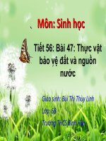 Bài Giảng Thực Vật Bảo Vệ Đất Và Nguồn Nước