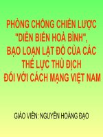 Phòng Chống Chiến Lược Diễn Biến Hoà Bình, Bạo Loạn Lật Đổ Của Các Thế Lực Thù Địch Đối Với Cách Mạng Việt Nam