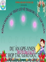 Dự Án GPE-VNEN (Tổ Chức Hợp Tác Giáo Dục Toàn Cầu Việt Nam ESCUELA NUEVA)