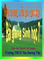 Bài Giảng Trai Sông - Sinh Học 7