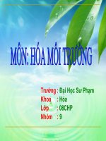 Bài Báo Cáo Môn Hóa Môi Trường