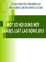 Bài Giảng Một Số Nội Dung Mớicủa Bộ Luật Lao Động 2013