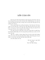 Quỹ đạo Gradient của các hàm xác định bởi cấu trúc o  tối thiểu (LV thạc sĩ)