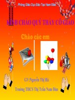 Chuyên Đề Cơ Sở Khoa Học Và Các Nguyên Tắc Của Việc Chọn Nghề