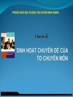 Chuyên Đề Sinh Hoạt Chuyên Đề Của Tổ Chuyên Môn
