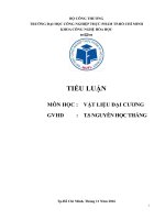 Tiểu luận vật liệu đại cương