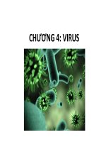 CHƯƠNG 4 ĐẠI CƯƠNG VIRUS