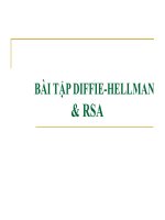 diffie hellman rsa BMTT