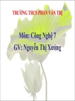 Bài Giảng Phòng Trừ Sâu Bệnh Hại