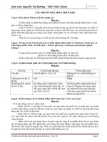 Cau hoi on thi HSG phan Phan bao va VSV  hay