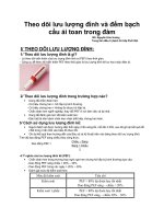 Phụ lục theo dõi lưu lượng đỉnh và đếm bạch cầu ái toan trong đàm bs nguyễn hữu hùng