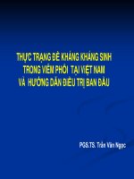 THỰC TRẠNG ĐỀ KHÁNG KHÁNG SINH TRONG VIÊM PHỔI tại việt NAMVÀ HƯỚNG dẫn điều TRỊBAN đầu
