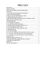 Tiểu luận bồi thường thiệt hại do nguồn nguy hiểm cao độ gây ra