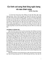 Điều trị chấn thương cột sống bằng nẹp vis