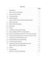 tiểu luận chuyên viên( chuẩn)