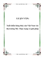 Xuất khẩu hàng thủy sản Việt Nam vào thị trường Mỹ Thực trạng và giải pháp