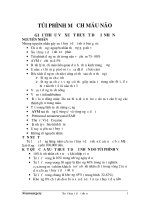 Túi phình mạch não