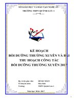 Kế hoạch Bồi dưỡng thường xuyên và Bài thu hoạch Bồi dưỡng thường xuyên 2017