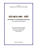 Túi phình và dị dạng mạch máu não