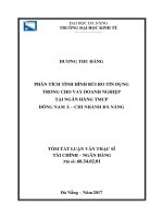 Phân tích tình hình rủi ro tín dụng trong cho vay doanh nghiệp tại ngân hàng TMCP đông nam á   chi nhánh đà nẵng