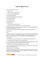 Soạn bài lớp 11: Nghĩa của câu 