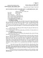 bản kiểm điểm đảng viên cuối năm