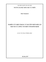 Nghiên cứu hiện trạng và nguyên nhân bồi lấp một số cửa sông ven biển tỉnh Bình Định