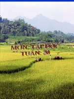 Tập đọc bốn anh tài 