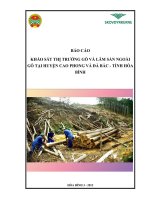 BÁO CÁO KHẢO SÁT THỊ TRƯỜNG GỖ VÀ LÂM SẢN NGOÀI GỖ TẠI HUYỆN CAO PHONG VÀ ĐÀ BẮC - TỈNH HÒA BÌNH
