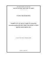 Nghiên cứu sử dụng vi khuẩn Geobacillus stearothermophilus để phát hiện nhanh dư lượng kháng sinh trong sữa