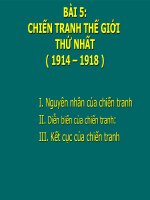 Chiến tranh thế giới thứ nhất (1914   1918) 