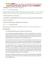 Giải bài tập SGK tiếng Anh lớp 11 Unit 13 HOBBIES 