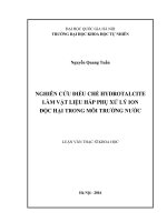 Nghiên cứu điều chế Hydrotalcite làm vật liệu hấp phụ xử lý Ion độc hại trong môi trường nước
