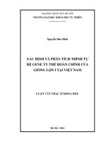 Xác định và phân tích trình tự hệ gene ty thể hoàn chỉnh của giống lợn Ỉ tại Việt Nam
