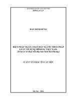 Biện pháp ngăn chặn bắt người theo pháp luật tố tụng hình sự Việt Nam (Trên cơ sở thực tiễn địa bàn tỉnh Hải Dương)