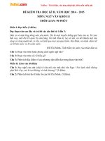 Đề thi học kì 2 môn Ngữ văn lớp 11 trường THPT Phan Ngọc Hiển, Cà Mau năm 2015