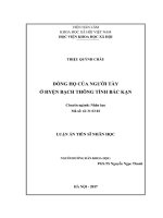 Dòng họ của người Tày ở huyện Bạch Thông, tỉnh Bắc Kạn (LA tiến sĩ)