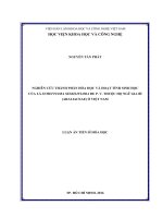 Nghiên cứu thành phần hóa học và hoạt tính sinh học của lá Schefflera sessiliflora De P.V. thuộc họ Ngũ gia bì (Araliaceae) ở Việt Nam (LA tiến sĩ)