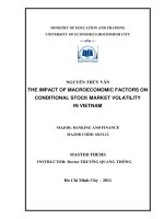 The impact of macroeconomic factors on conditional stock market volatility in vietnam 